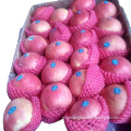 /msite/products/detail/productid/59941901/id/542998.html